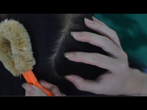 ASMR Aggressive Scalp Scratching, Scalp Massage On Real Person, Relaxing Sounds For Reduce Stress