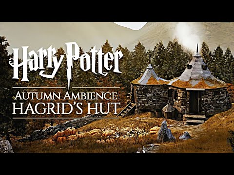 Hogwarts Autumn 🍂 Hagrid's Hut ◈ Harry Potter inspired Ambience / Falling Leaves + Rain showers