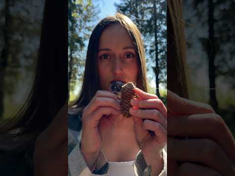 Шишечки 🥹 #asmr #асмр
