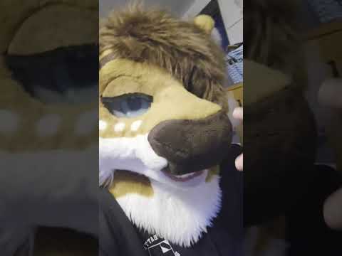 maybe I should brush it.... #furry #fursuit