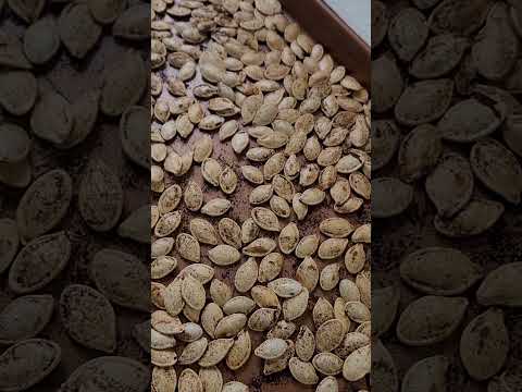 Pumpkin Seed Sounds Fresh From the Oven! ASMR?