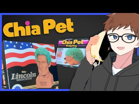 Scott The Woz – Chia Pet (ASMR Roleplay)