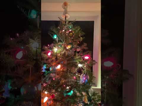 Santa Bear under the Christmas Tree!🎄 #christmastree