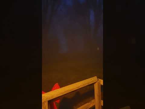 So Foggy this morning! Have a wonderful day today darlings ❤️ #icefog #nightwaves #short