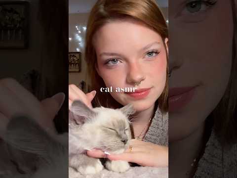 more purring and pet triggers with my babies 🐾 | #asmr #asmrtriggers #asmrforsleep #catasmr #shorts
