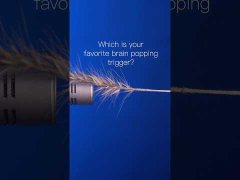 #asmr Which is your favorite brain popping trigger?