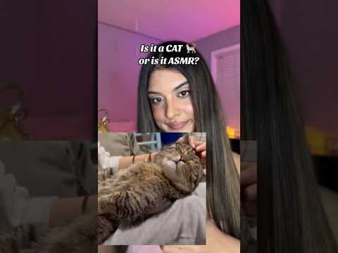 Is it a cat or is it ASMR? #asmr #asmrscratching #asmrcat