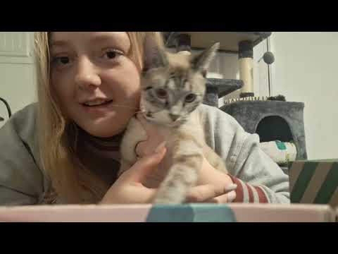 ASMR- Walmart Beauty Box Opening/Unboxing Haul with Rambling 