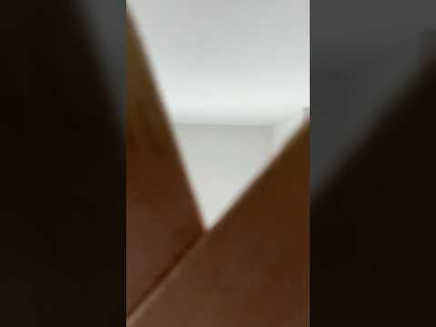 Random trigger no talking (idk what im doing)