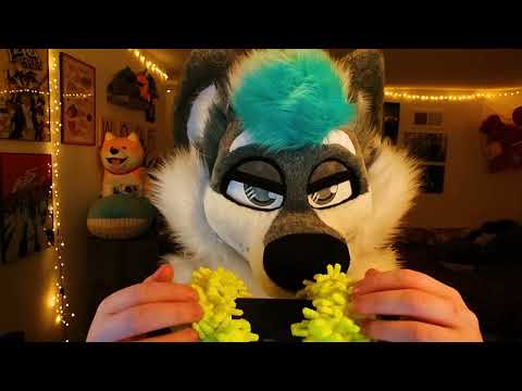 Microphone got sick [FURRY ASMR]