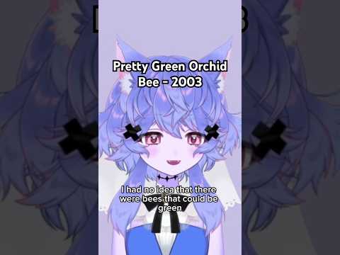 Florida’s Green Bee (2003)