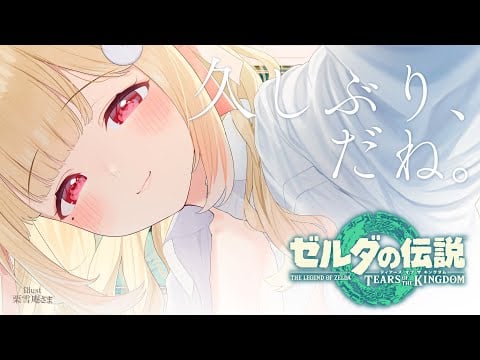 お久しぶりの…おさんぽデート、しよ？♡【ゼルダの伝説 ティアーズ オブ ザ キングダム 】