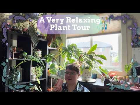 A Cozy, Relaxing ASMR Plant Tour & Ramble 🪴🌿 | Eclectic ASMR