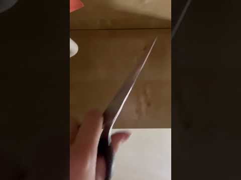 ASMR | 5 Random Triggers in 1 Minute (hairclip, stapler, glove, scissor sounds, camera tapping)