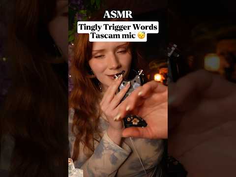 More Tascam ASMR👆🏻Tingly Triggers words Mouth sounds 😴