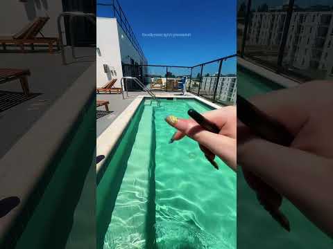 can you guess the celebrity I’m thinking of? #ASMR ￼ #lofiasmr #poolasmr #relaxandplay