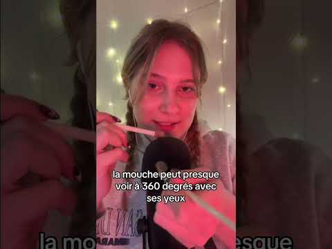partie 2 ! #asmr