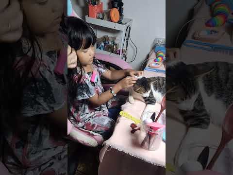 ASMR WITH YASMINE #asmrvideo MENCARI KUTU #asmr