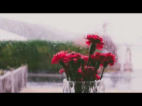 RELAXING RAIN sounds for sleep or focus, peaceful rain sounds for meditation