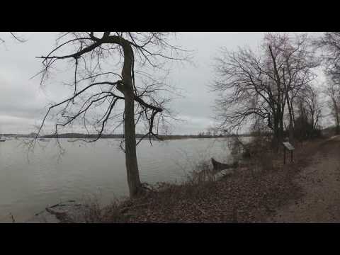 ASMR Hiking by a Calm River With Chirping Birds (Full Video)