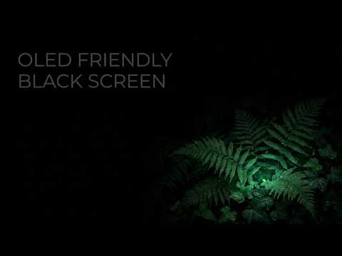 OLED Friendly ASMR Night Forest l Black Screen for DEEP Sleep l NO Light ;Battery -Saving Ambience
