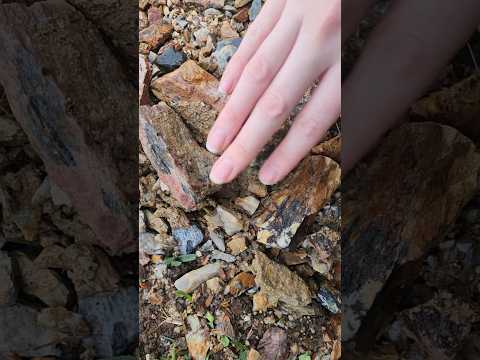 POV: you found the most peaceful rainy walk on the internet 🌧️🍃 Which sound is your favorite? #asmr