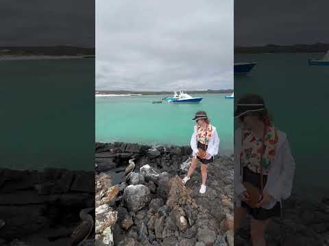 #galápagos
