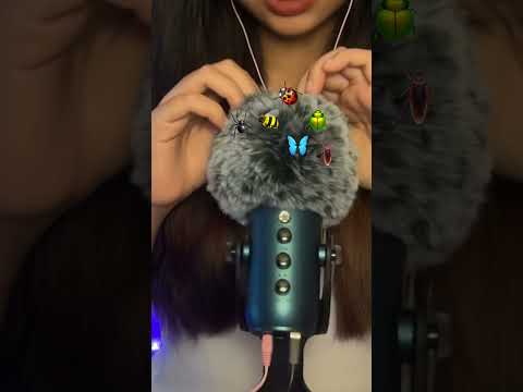Searching for Bugs🐛🐞🦋 #asmr #shorts