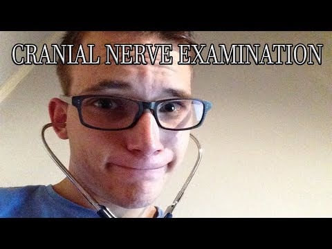 Dokter Bezoek | Cranial Nerve Examination | Dutch | Nederlands #DutchASMR