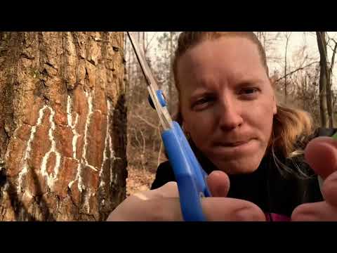 ASMR | Haircut On A Tree 🌳 And You