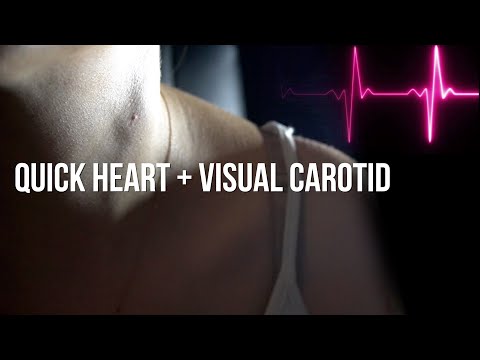 116 BPM Visual Heartbeat Right Carotid Artery & Female Heartbeat ASMR (No Talking)