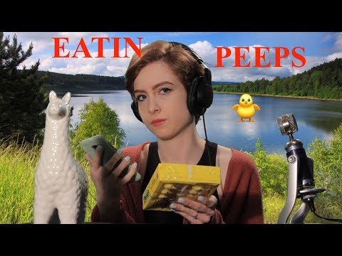 ASMR | Eatin' Peeps🐥