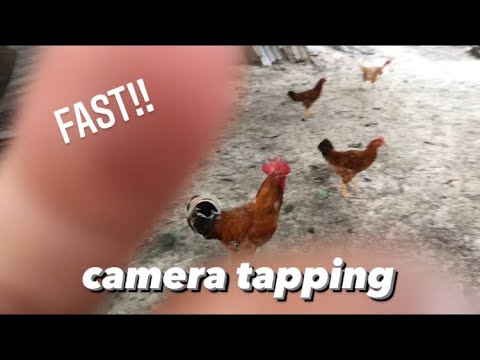 ASMR Fast Camera Tapping (outside asmr) [ASMR Malaysia]
