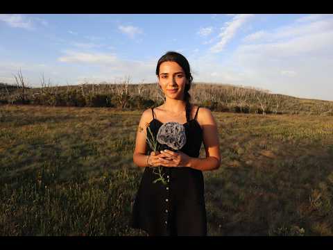 ASMR In The Bush (Nature Sounds)