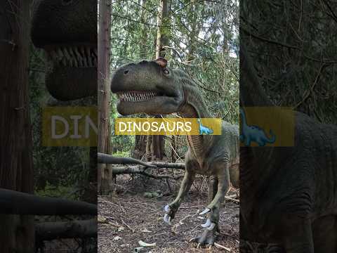Dinosaurs at Knuthenborg Safari Park, Denmark 🇩🇰  #dinosaur #safari #denmark denma