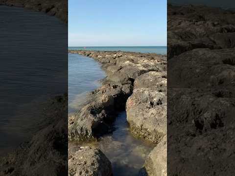 You are stranded on abandoned rocks with me | ASMR
