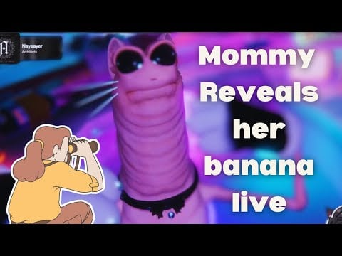 Cat mommy reveals her banana live :o