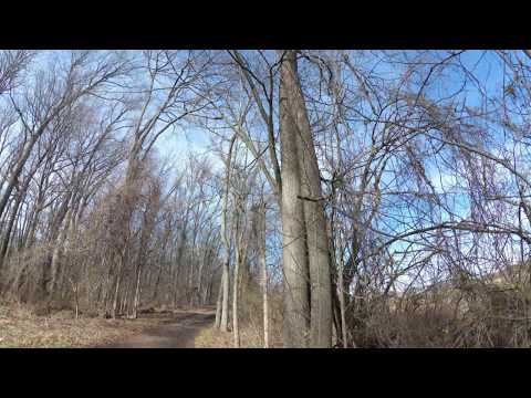 ASMR Hiking Binaural Sunny but Soggy Hike with Blue Skies and Wet Sounds (Part 1)