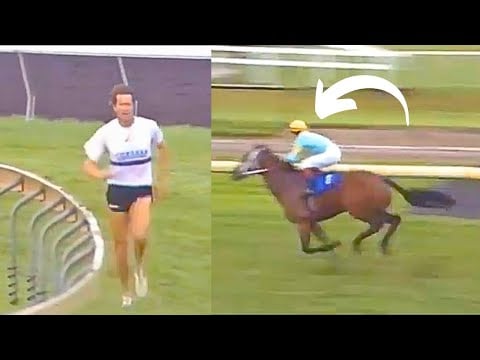 Olympic Champion Vs Racehorse 800M Showdown