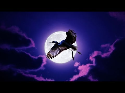 Birds Dancing with the Moon: A Night Sky Spectacle