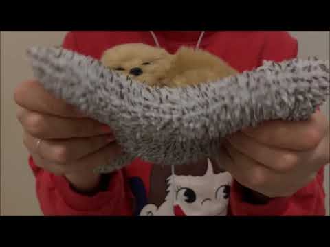 [ASMR] (No Talking) Touching a Puppy Doll, 강아지 인형 만지고 소리내기