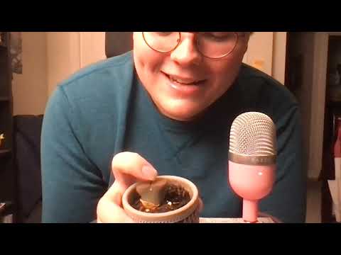 Eclectic ASMR | Whispering About My Houseplants