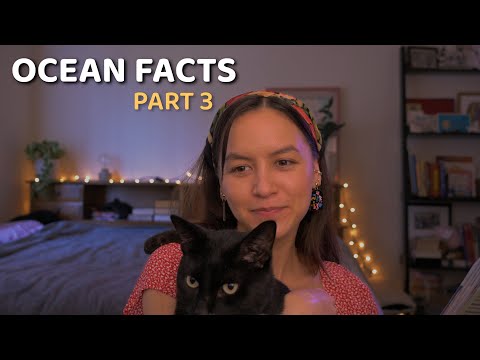 ASMR | Whispered Ocean Facts (Part 3)