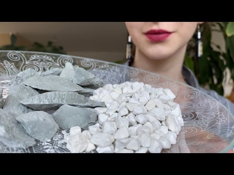 Песчанка с Голубой узбечкой / ASMR