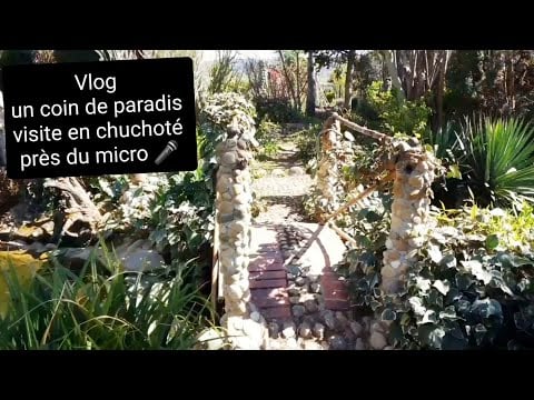 Asmr français Vlog, 🎧  un endroit magnifiquement zen