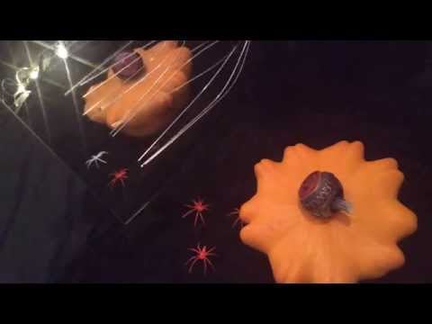 [ ASMR ]  Leather gloves * Pumpkin* Orgasmatron