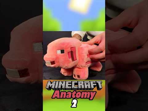 Anatomy of a Minecraft Pig 2🐷