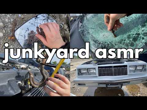 junkyard asmr with natural nails - public outdoor asmr