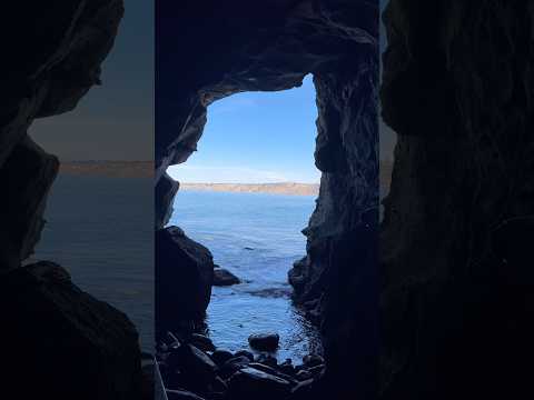 Went into a CAVE in La Jolla !!! 👀🪨🌊