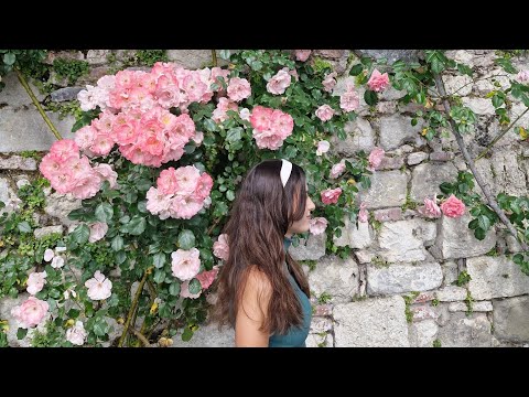 ASMR SURPRESA DE ANIVERSÁRIO🎁